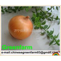 Ӧnew onion in china for sale