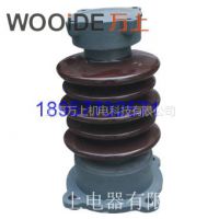 ӦZSW-20KV·֧ԵZS-20KVմ֧Ե ZSW