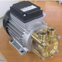 德国斯贝克小型高温模温机泵LNY-2841.0085高温水泵120w SPECK