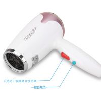 ӦKF-3071Ƶ괵רҵڹʽ ԡҴͲ Ƶר 1200W 