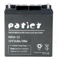 ɷƿ12V24AH NP24-12 