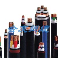  10KV 15KV YJV ѹ 1*35