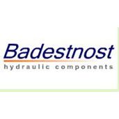 BADESTNOSTҺѹ\\BADESTNOSTҺѹ