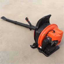 道路吹风机价格 背负式吹风机型号 富民牌