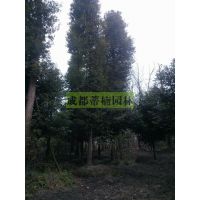 ɶ20骼۸