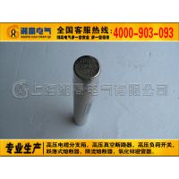 SFLAJ-12KV/63Aѹ۶ XRNT-10