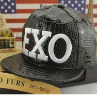 ļ¿ŮʿͯEXOƽñӶӹ