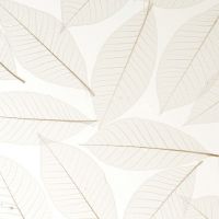 fossil leaf random3form֬壬֬
