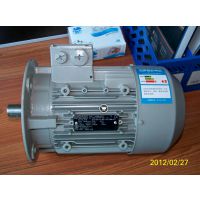 3~Mot 1LE0001-1BA22-1JA44KW