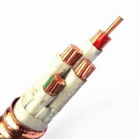 ԷYTTW-1*16