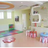 ׯ׽ڵذƽ3.0mmUV PVCܽصؽ ɭֱ