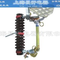 ƷؼRW12-12/100A RW12-12/200A 12KVѹʽ۶