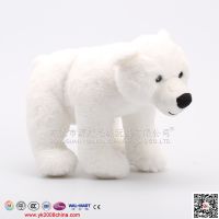 ͨ߱ ë ̩ܱteddy bear