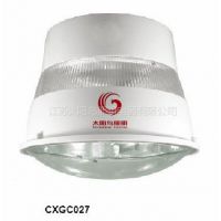 ӦCXGC027  ͣר