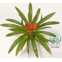 ӦСǣǧǣ߶:16~28 ֱ28 cm   7  ¶:5