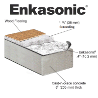 Enkasonic  ̨