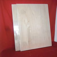 ֱд̾ ްȫľľʻ滭 4 45*60cm ***