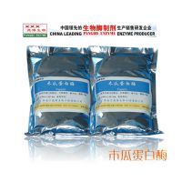 供应水解专用木瓜酶，papain低价位优惠 量大从优 生物酶制剂