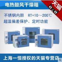 上海一恒 DHG-9013A 电热鼓风干燥箱 电热恒温箱 烤箱 实验室烘箱