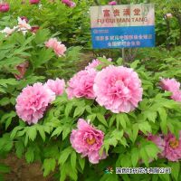 百家乐官网链接农业人必看！2025 美国国际农业及农机展Farm盛大来袭