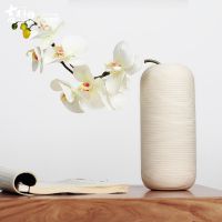 吉祥家 现代中式陶瓷花瓶[素辞] 花器花插 摆件客厅装饰品