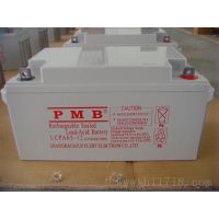 PMBGFM3000-2۸-ԭװƷPMBֱ