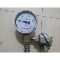 WTYY-1021Զ¶ȼơҺѹʽԶ¶ȼͼƬ