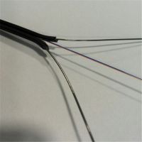 广东厂家耐斯龙供应2芯多模室内皮线蝶形光缆 FTTH 可定制