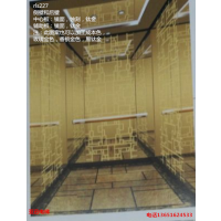 2016家用豪华别墅金色镜面蚀刻玫瑰香槟黑钛色钢带曳引两层站电梯便宜