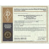 API 6D