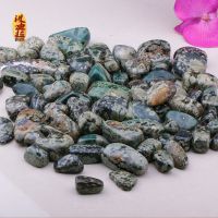 时尚流行精品海洋玛瑙 天然海洋化石 海洋玛瑙原石抛光摆件批发