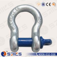 Ӧֱʽģ͸ǿж G-209 shackle