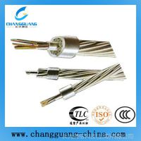 Ӧոѹ110kv OPGW ˫ĹOPGW³ֱ