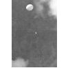 Novalynx400-8200 