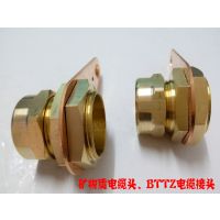 ʵͷ BTTZͷ YTTWն1*150mm2