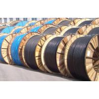 供应VVR全塑（铜芯）电力电缆 （0.6/1KV） 欢迎前来定制