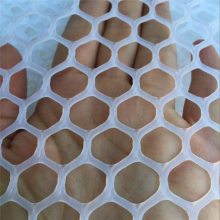 异形塑料网床 福建水产养殖网 蛋鸭网床图片