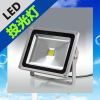 տ LEDͶ100W⻧ˮLED