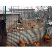 供应【散养鸡铁丝网】，价格低质量好有***
