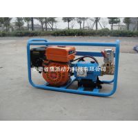 鹰派担架式喷雾器45/50/60型汽油机170药泵打药机清洗机