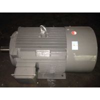 上海德東電機(jī)廠*** 三相異步電動(dòng)機(jī) YE2-200L-8 15KW)8極