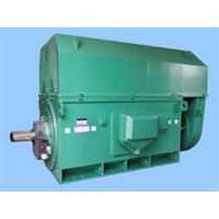 ӦYR280S--4 55KW 380V 첽綯