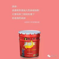 齺ʩν¹᳧