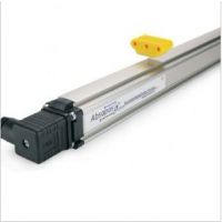 184-A-900mmλƴ λƴ