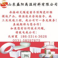 建页岩砖厂隧道窑保温吊顶施工设计