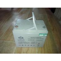˫12V80AH
