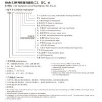 ӦBAM52ϵз·Ƴֱ