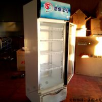 厂家直销批发价 各型号防爆玻璃门冰柜、展示柜、工业低温冰箱
