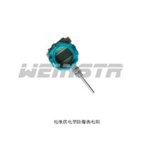 ӦweinstrǱWG-WZPB-240S/440Sֳʾһ廯¶ȱ