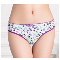 ݡóŮʿڿ 黨ӡȫŮʽǿstock underwear